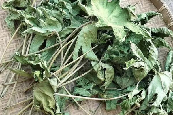 杀虫剂如何自制，可以用花椒、辣椒、半夏作原料