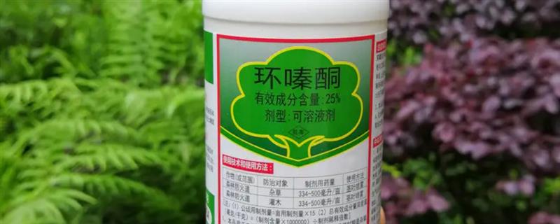 环嗪酮杀大树的使用方法，剂型不同使用方式不同