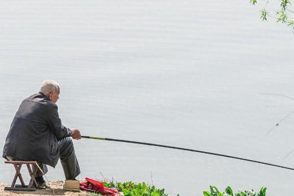 夏天钓鲤鱼如何选择钓位，水草区、铧尖、入水口等位置适合作钓