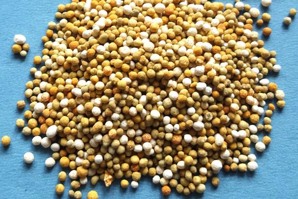 微量元素肥料的使用方法，要避免微肥用量过大