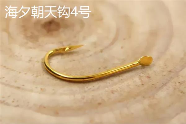 几号朝天钩可以做到大小通杀,5号丸世朝天钩、4号海夕朝天钩等钩型均可通杀小型鱼类