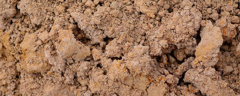 腐殖质有什么作用，可释放多种养分、改善土壤的理化性状和酸碱度