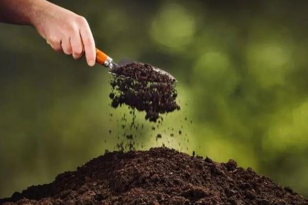 腐殖质有什么作用，可释放多种养分、改善土壤的理化性状和酸碱度