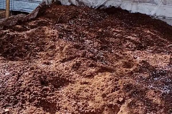 腐殖质有什么作用，可释放多种养分、改善土壤的理化性状和酸碱度
