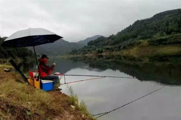 秋天下雨天好不好钓鱼，与天气情况关系密切