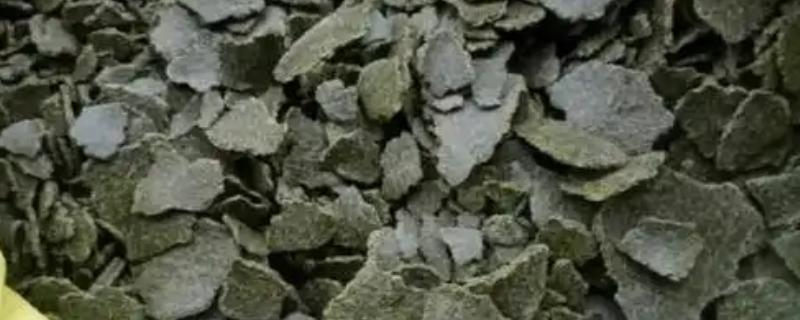 菜枯如何发酵做肥料，可泡水发酵或半干湿发酵等