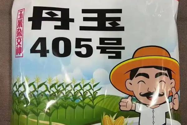丹玉402号玉米种简介，成株叶片数21-22片