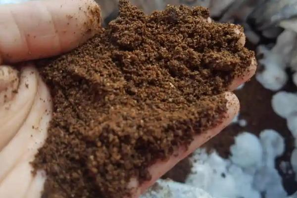 菜枯如何发酵做肥料，可泡水发酵或半干湿发酵等