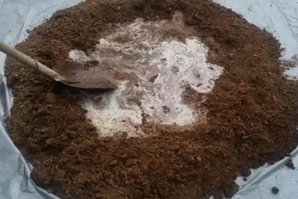 菜枯如何发酵做肥料，可泡水发酵或半干湿发酵等