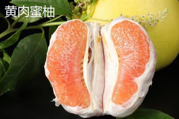 蜜柚的简介，也叫香抛是优质的柚子品种