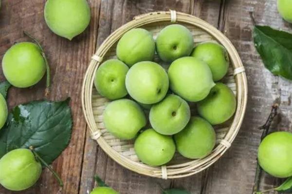 梅子常见于哪个季节，一般在夏季6-7月份成熟