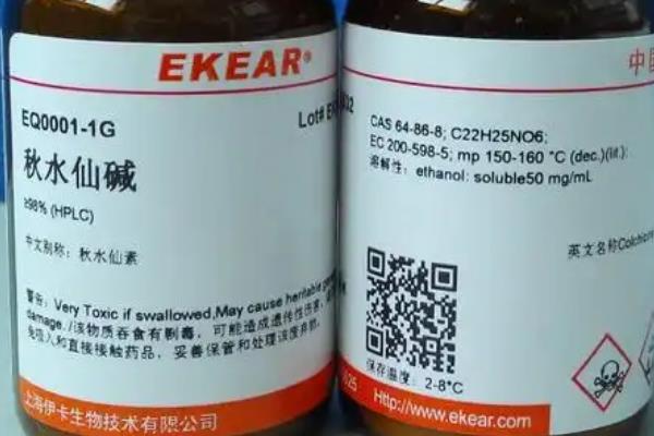 无籽西瓜能不能吃，无毒无害可以食用