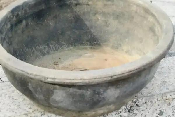 杜鹃花的养殖方法，可选择紫砂盆或泥盆