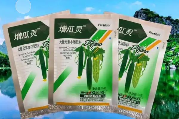 增瓜灵怎么使用，按说明浓度喷施叶面