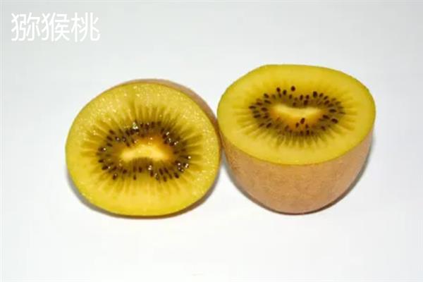 秋季的应季水果有哪几种，常见的有石榴、葡萄、梨等