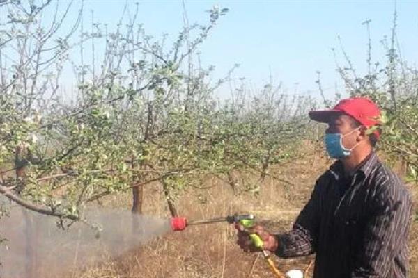 8月份管理苹果的方法，注意做好病虫防治、除草中耕等工作
