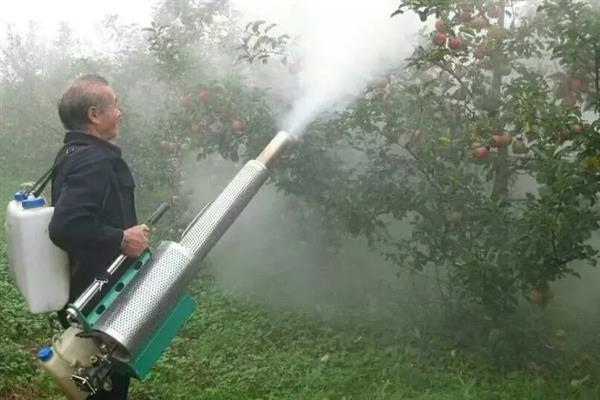 8月份管理苹果的方法，注意做好病虫防治、除草中耕等工作