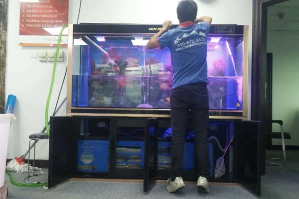 德州豹可以和哪些鱼混养，花老虎、地图鱼等品种能够与它抗衡