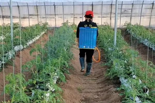 恶霉灵有什么作用，可灭杀感染植物的真菌、促进根系生长