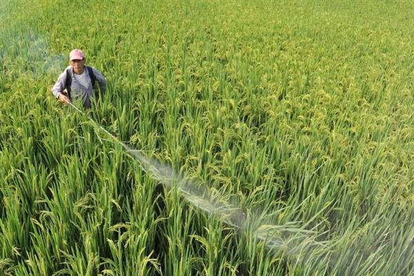 恶霉灵有什么作用，可灭杀感染植物的真菌、促进根系生长