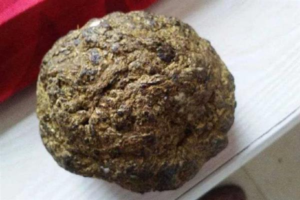 牛结石是不是牛黄，胆囊中的胆结石即为牛黄