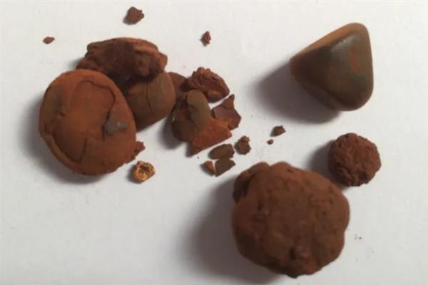 牛结石是不是牛黄，胆囊中的胆结石即为牛黄
