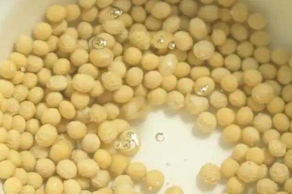 种植春大豆预防烂种的方法，使用健康的种子可确保播种质量