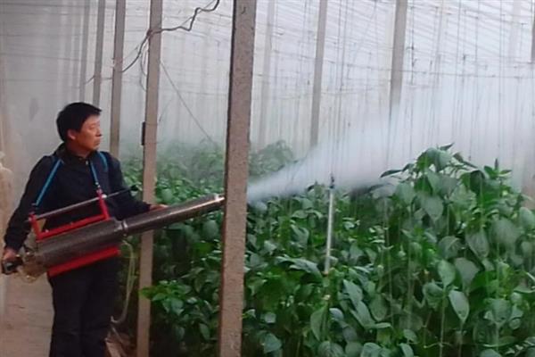 早春棚栽蔬菜的施肥技术，应做到施足基肥