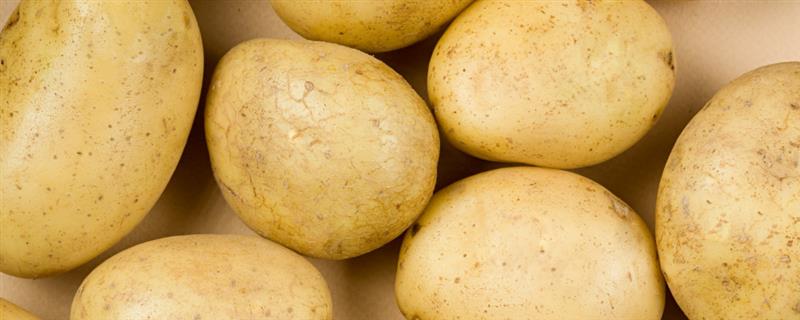 土豆有什么价值，有营养、经济和工业价值