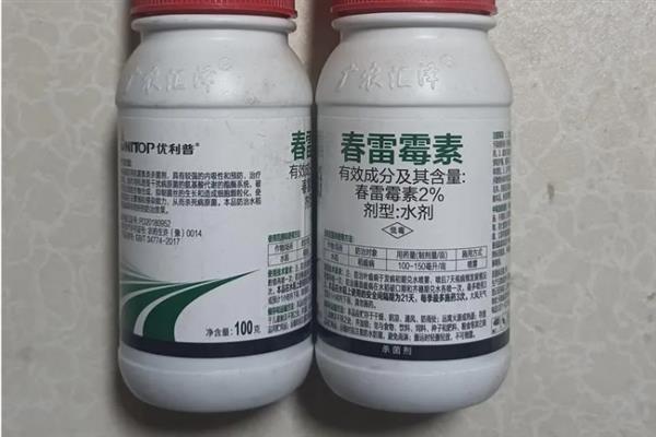 春雷霉素有什么作用，可防治苹果黑星病、柑橘流胶病等病害