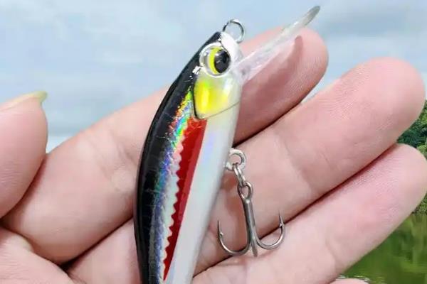 用玉米钓翘嘴的深度，控制在1-3米较合适