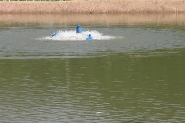 青虾如何养殖，先将池塘清塘消毒