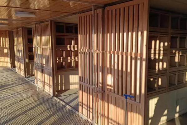 鸽棚怎么搭建，一定要确保鸽棚内光线充足