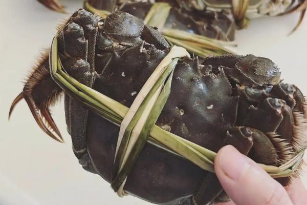 大闸蟹如何选购,可以根据蟹壳、产地等辨别