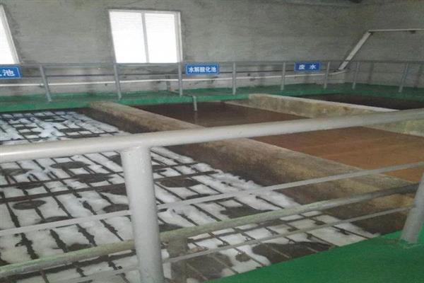 养殖场氨气太重怎么解决，首先要加强通风