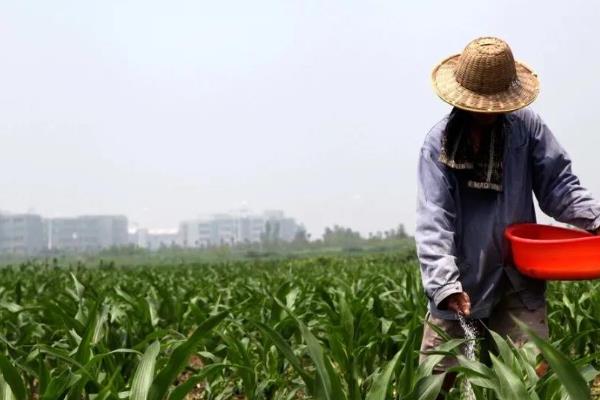硫酸钾型复合肥怎么使用，作追肥时可条施或穴施