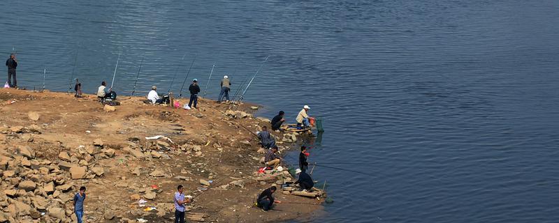 夏季钓鱼用什么味型，可以选择麸香、谷香和酒香的