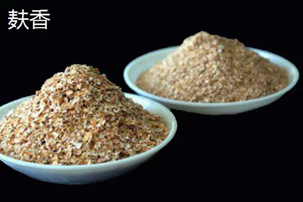 夏季钓鱼用什么味型,可以选择麸香、谷香和酒香的