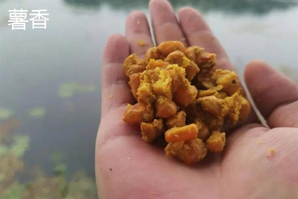 夏季钓鱼用什么味型,可以选择麸香、谷香和酒香的