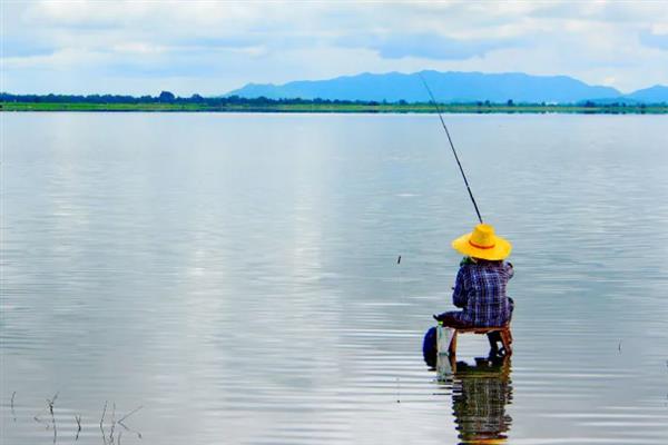 夏季钓鱼用什么味型,可以选择麸香、谷香和酒香的