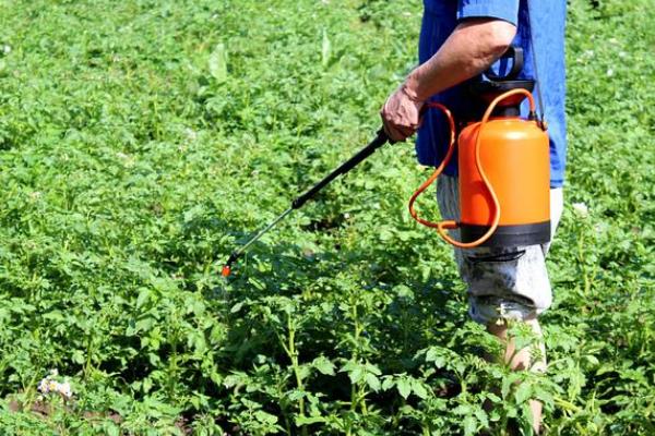 灭杀黄守瓜用什么药，敌敌畏、晶体敌百虫、呋喃丹等药物均可防治