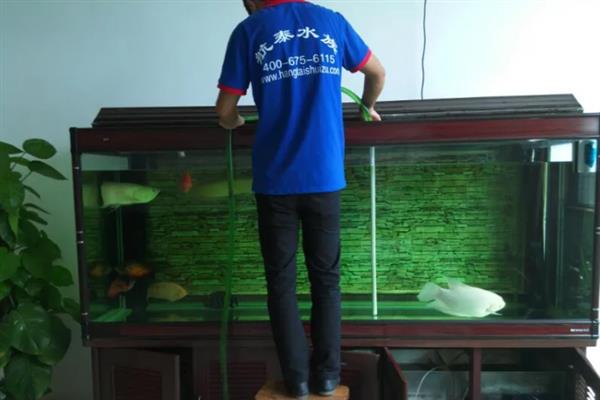 鱼为什么换完水就躺着了，说明鱼儿受到了新水刺激