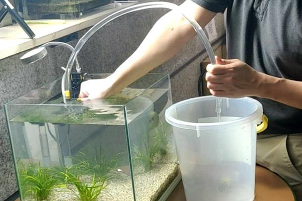 鱼为什么换完水就躺着了，说明鱼儿受到了新水刺激