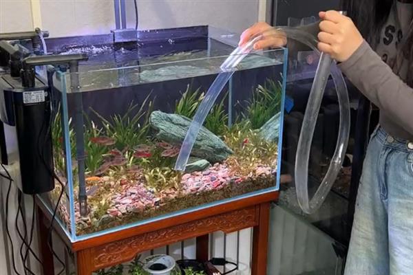 鱼为什么换完水就躺着了，说明鱼儿受到了新水刺激