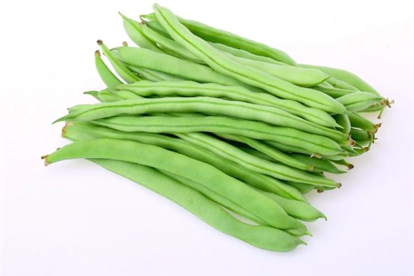 四季豆能采摘几次，一般最多可以采摘4-5次