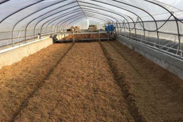 发酵床养鸭的技术原理，垫料通过物理吸附消除鸭粪中的臭味