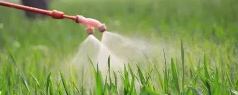 如何正确使用生物农药，应在傍晚或阴天进行