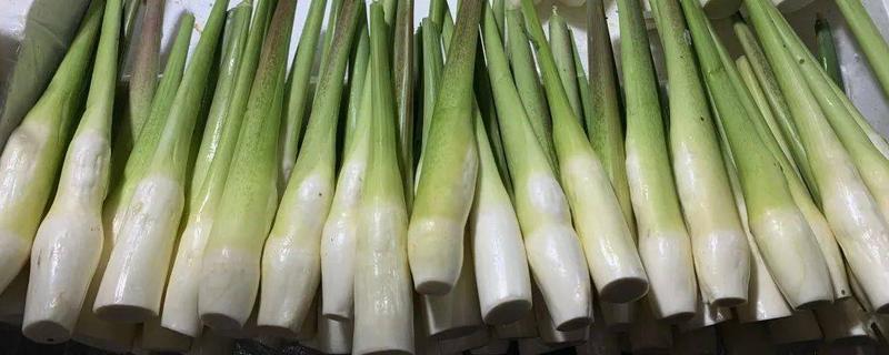 茭白何时上市，单季茭白通常在9-10月份上市