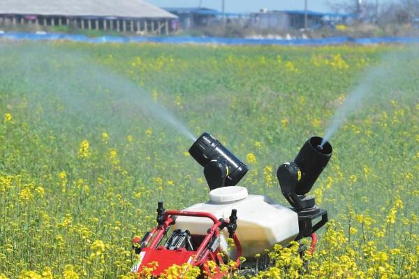 尿素使用过量怎么办，浇水可以稀释肥料浓度