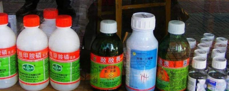 真假农药如何识别，可以看产品登记证号、产品的有效期等